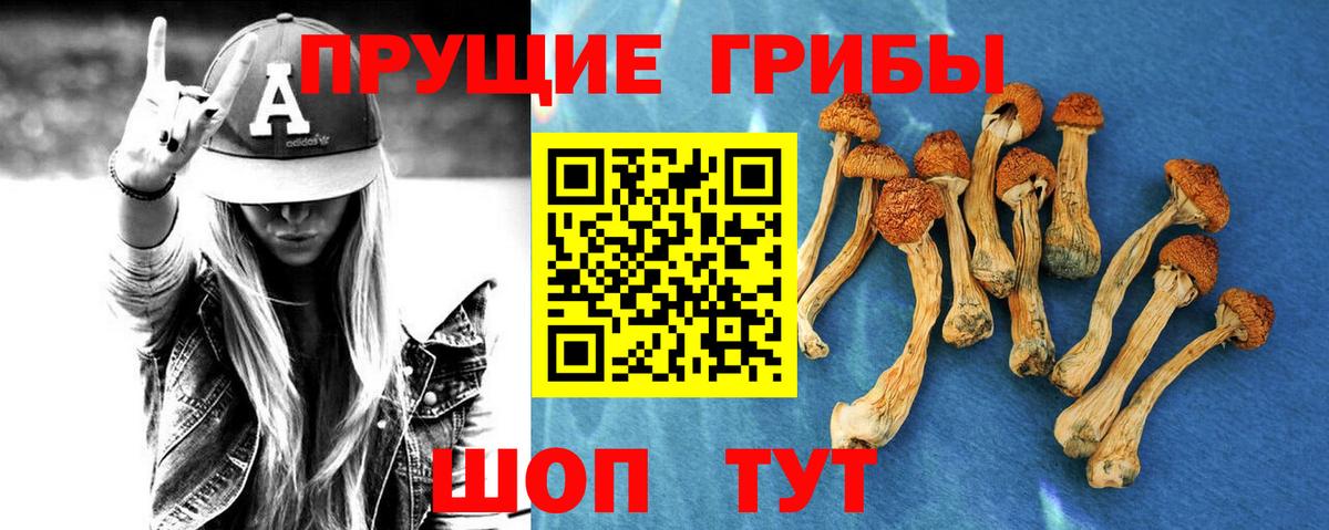 Галлюциногенные грибы прущие грибы  Псилоцибиновые грибы мухоморы  Вход с VPN  Полысаево 