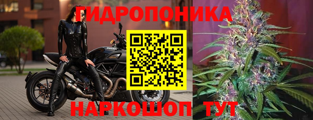 Бошки марихуана сатива  Конопля ГИДРОПОН  Конопля SATIVA & INDICA  Бошки Шишки семена  Вход с VPN  Полысаево 